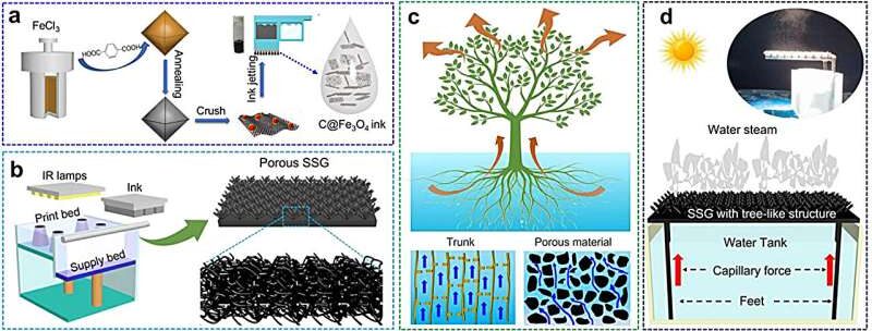 Generadores solares de vapor 3D bioinspirados: una revolución en la energía sostenible | Dynatec